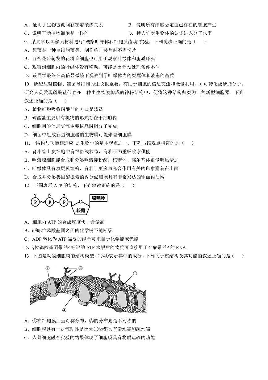 浙江省杭州地区（含周边）重点中学2024-2025学年高一上学期期中联考生物试题 （含答案）第2页
