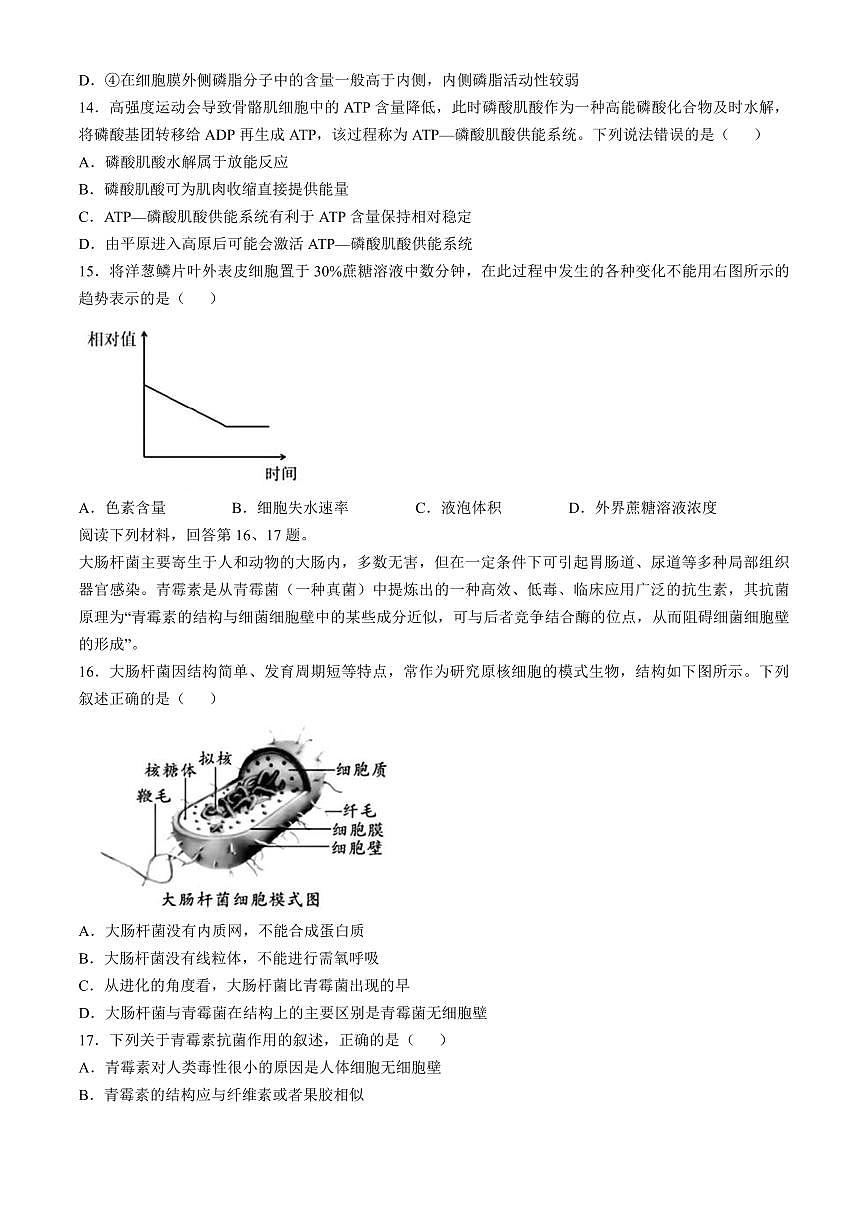 浙江省杭州地区（含周边）重点中学2024-2025学年高一上学期期中联考生物试题 （含答案）第3页