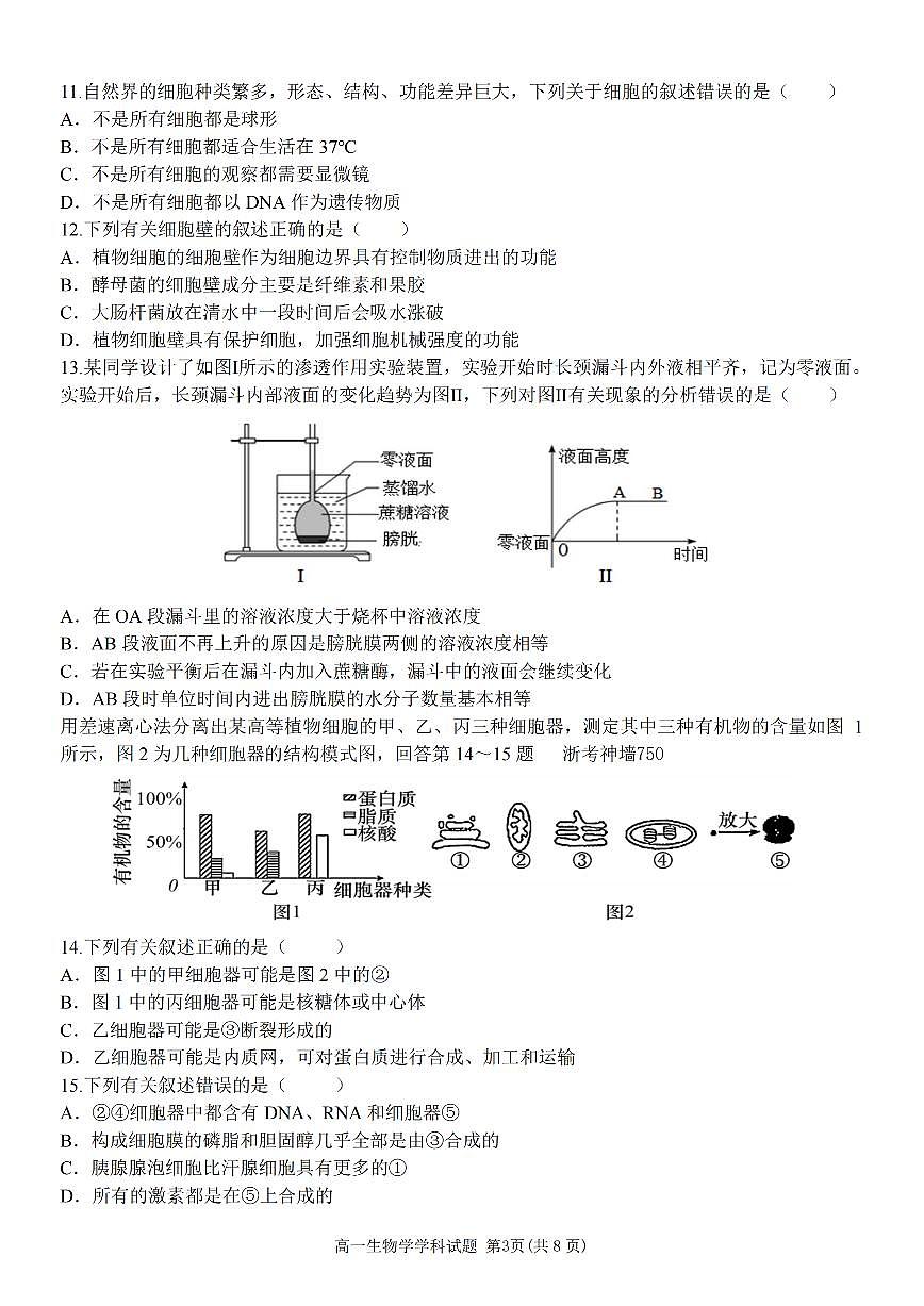 浙江省嘉兴八校2024-2025学年第一学期高一期中生物卷含答案第3页
