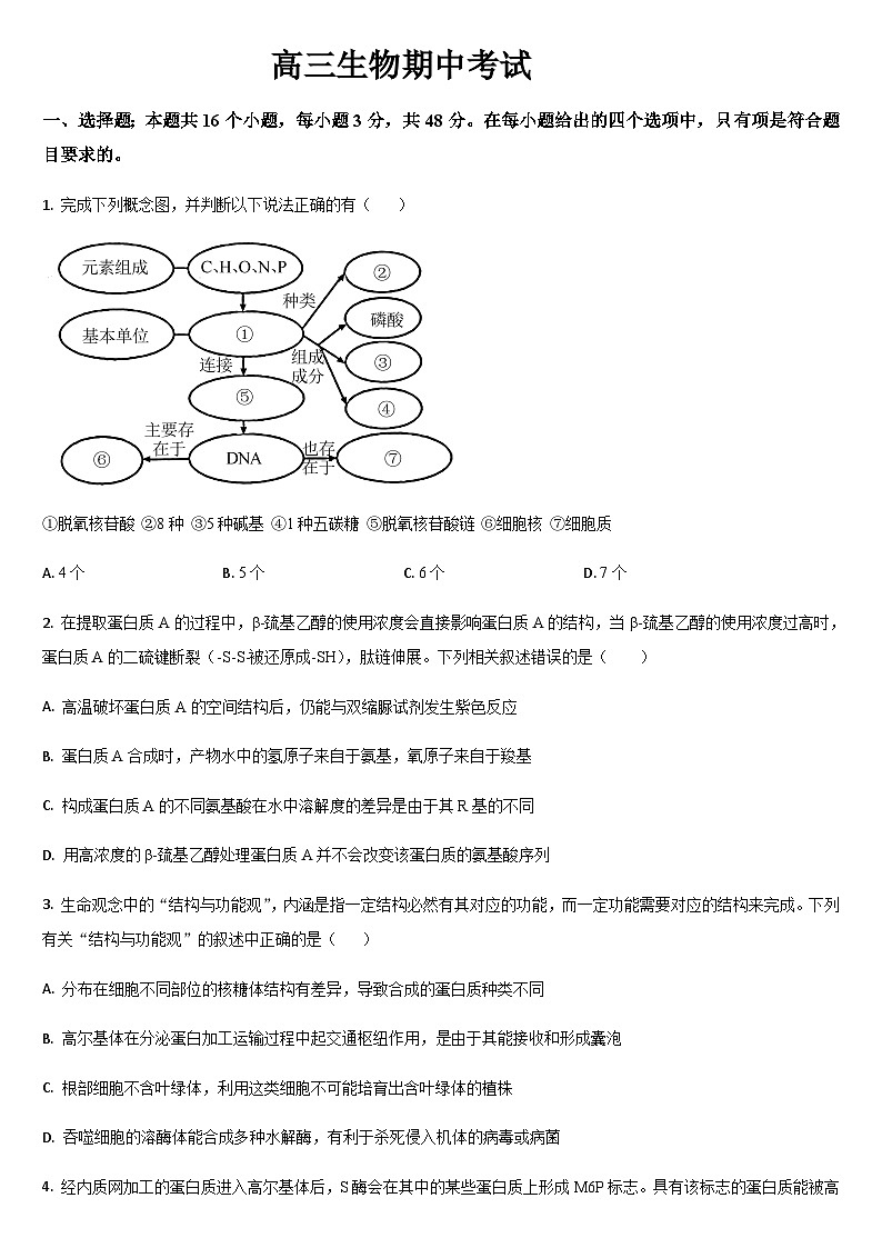 吉林省通化市梅河口市第五中学2025-2026学年高三上学期10月期中生物试题（含答案）第1页