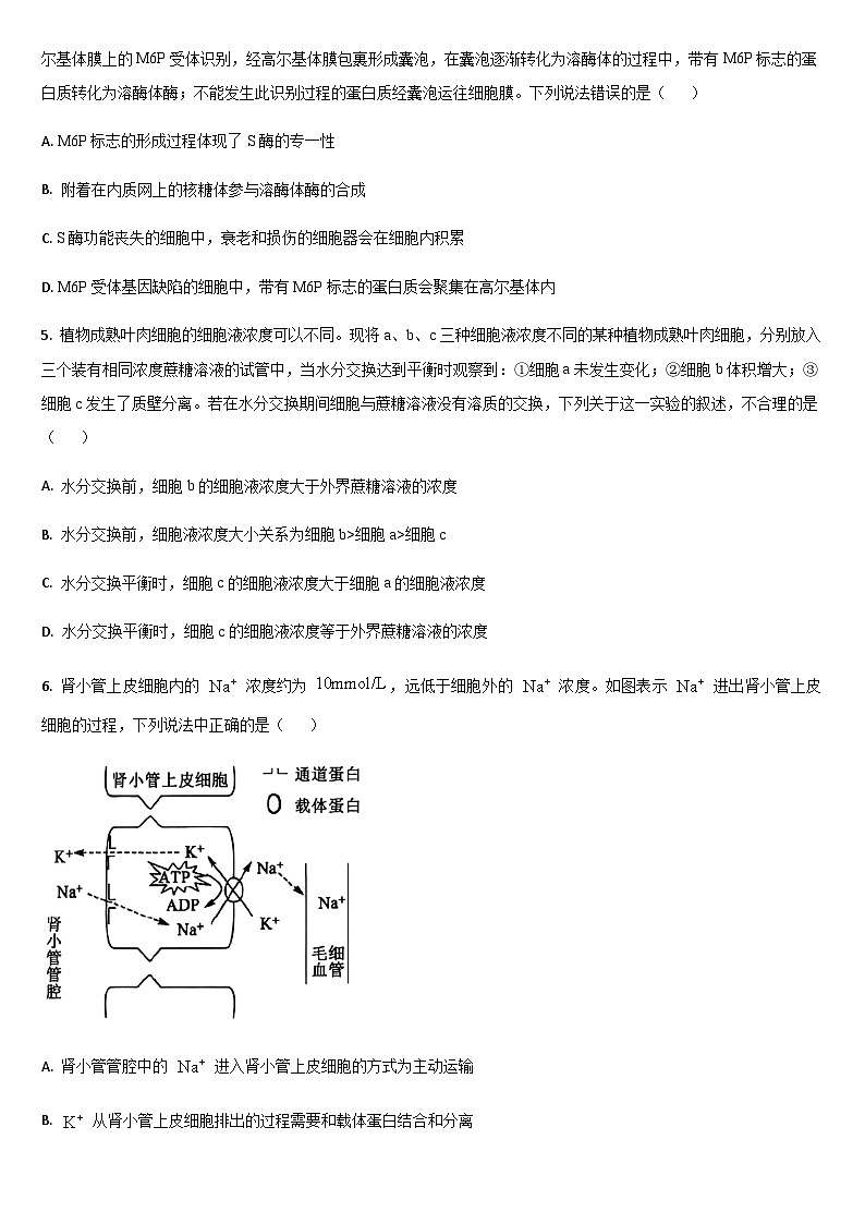 吉林省通化市梅河口市第五中学2025-2026学年高三上学期10月期中生物试题（含答案）第2页