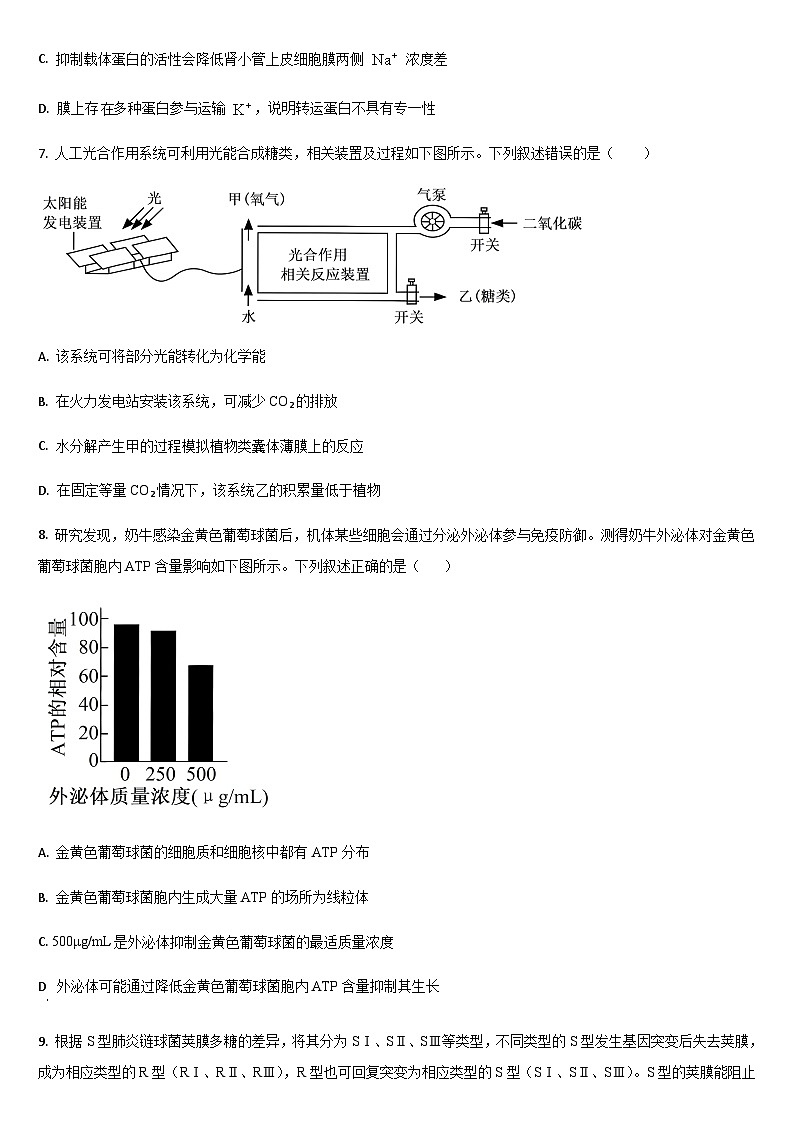 吉林省通化市梅河口市第五中学2025-2026学年高三上学期10月期中生物试题（含答案）第3页