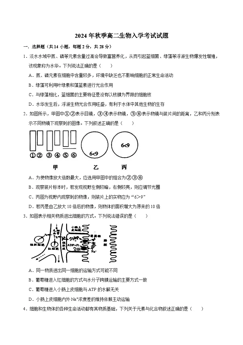湖南省岳阳市汨罗市第一中学2024-2025学年高二上学期开学考试生物试题第1页