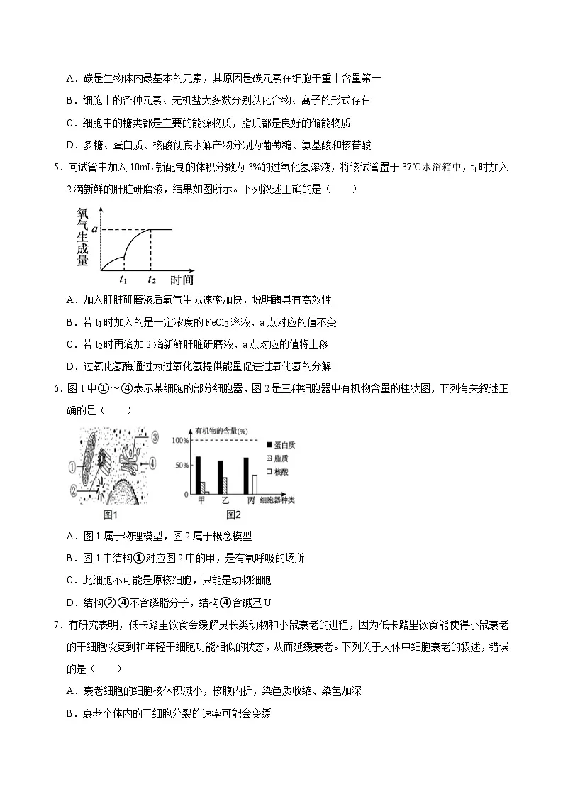 湖南省岳阳市汨罗市第一中学2024-2025学年高二上学期开学考试生物试题第2页