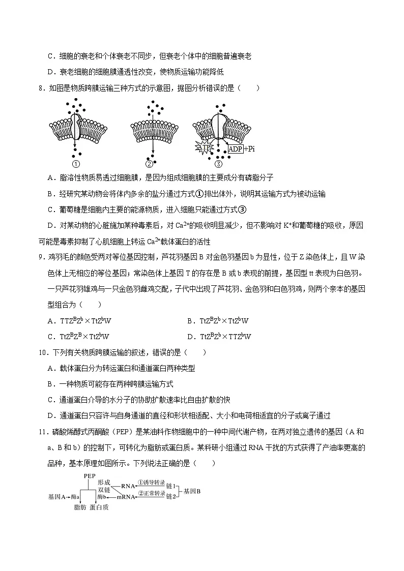 湖南省岳阳市汨罗市第一中学2024-2025学年高二上学期开学考试生物试题第3页