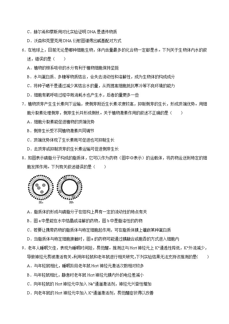 湖南省岳阳市汨罗市第一中学2024-2025学年高三上学期9月月考生物试题第2页