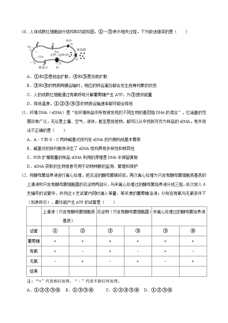 湖南省岳阳市汨罗市第一中学2024-2025学年高三上学期9月月考生物试题第3页