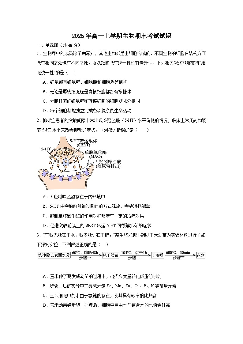 湖南省岳阳市汨罗市第一中学2024-2025学年高一上学期1月期末生物试题第1页