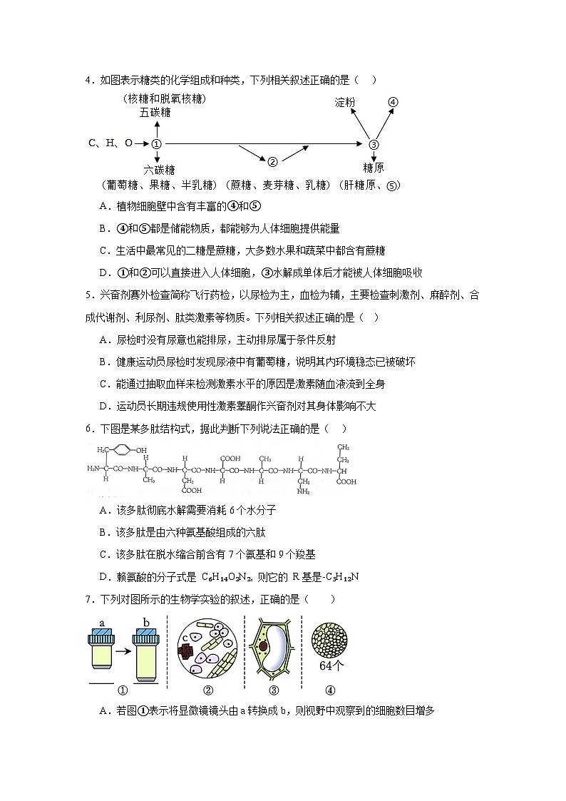 湖南省岳阳市汨罗市第一中学2024-2025学年高一上学期1月期末生物试题第2页