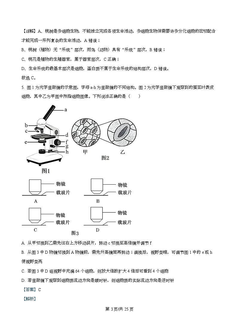 四川省成都市青羊区四川省成都市石室中学2025-2026学年高一上学期10月月考生物试题 Word版含解析第3页