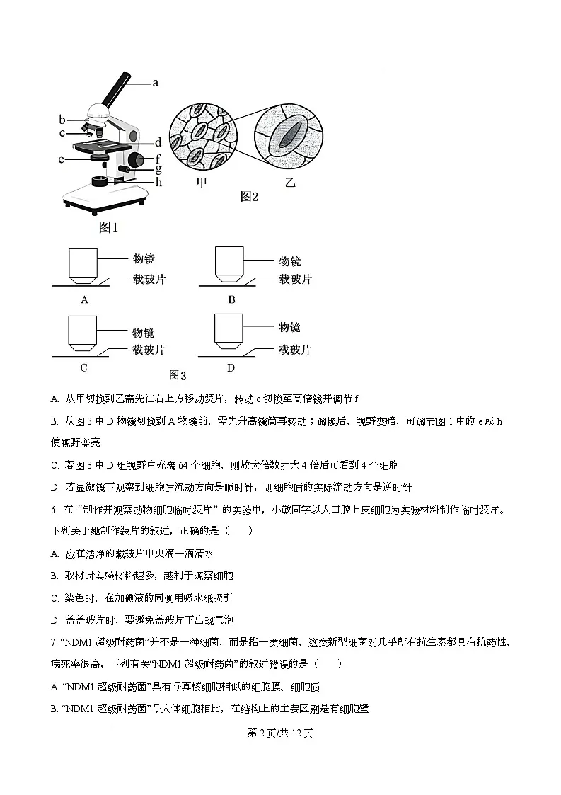 四川省成都市青羊区四川省成都市石室中学2025-2026学年高一上学期10月月考生物试题（原卷版）第2页