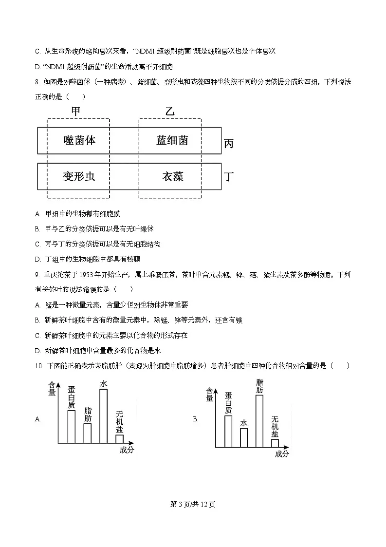 四川省成都市青羊区四川省成都市石室中学2025-2026学年高一上学期10月月考生物试题（原卷版）第3页