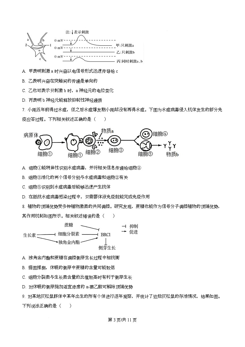 四川省成都市双流中学2026届高三上学期10月月考生物试卷（原卷版）第3页