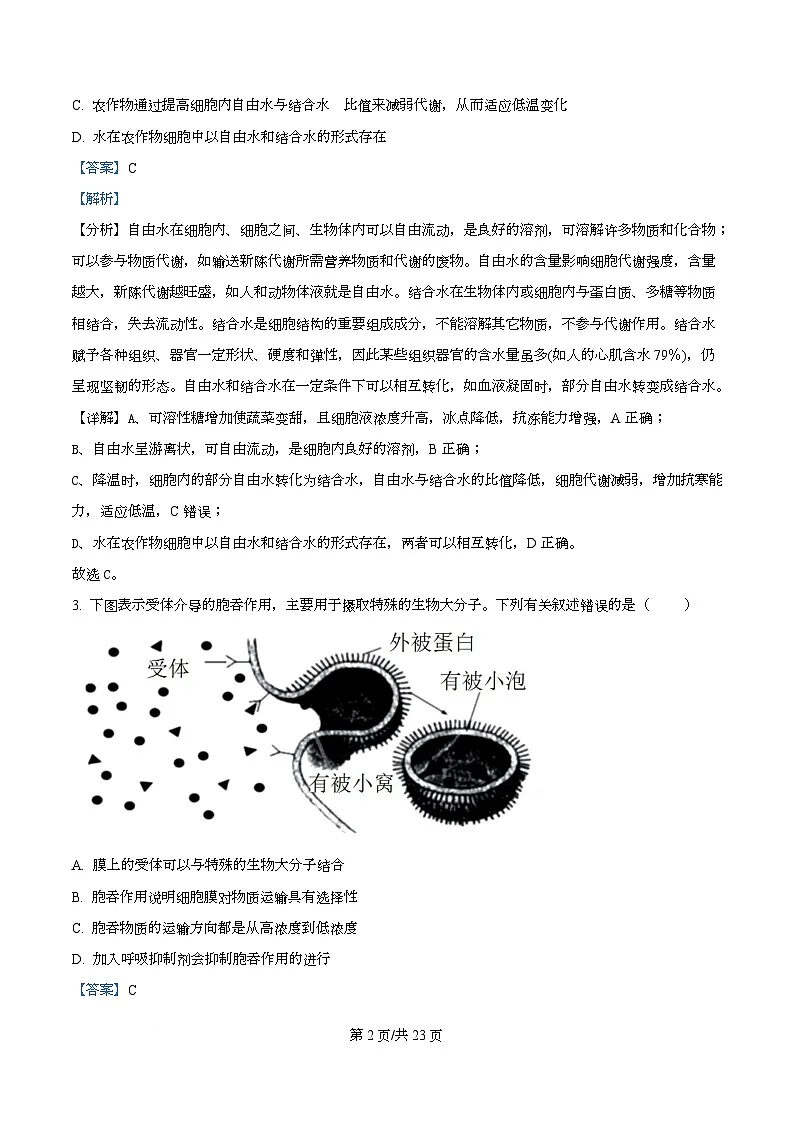 四川省成都市双流中学2026届高三上学期10月月考生物试卷 Word版含解析第2页