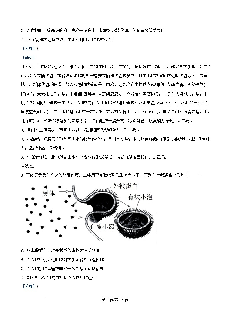 四川省成都市双流中学2026届高三上学期10月月考生物试卷 Word版含解析第2页