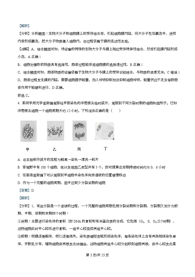 四川省成都市双流中学2026届高三上学期10月月考生物试卷 Word版含解析第3页