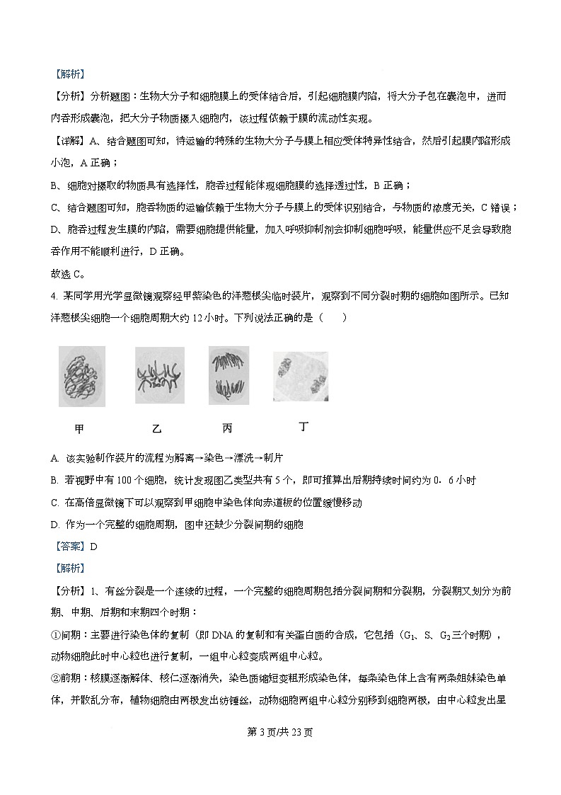 四川省成都市双流中学2026届高三上学期10月月考生物试卷 Word版含解析第3页