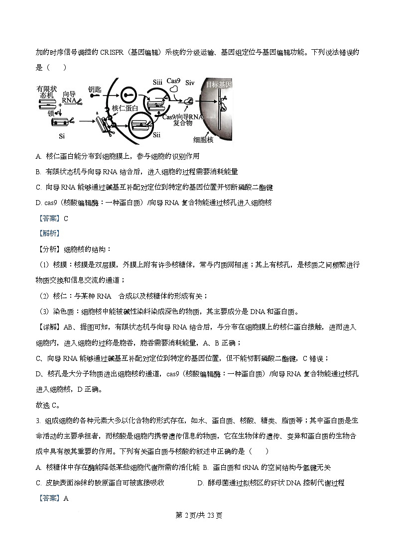 四川省成都市双流中学2026届高三上学期期中考试生物试题 Word版含解析第2页