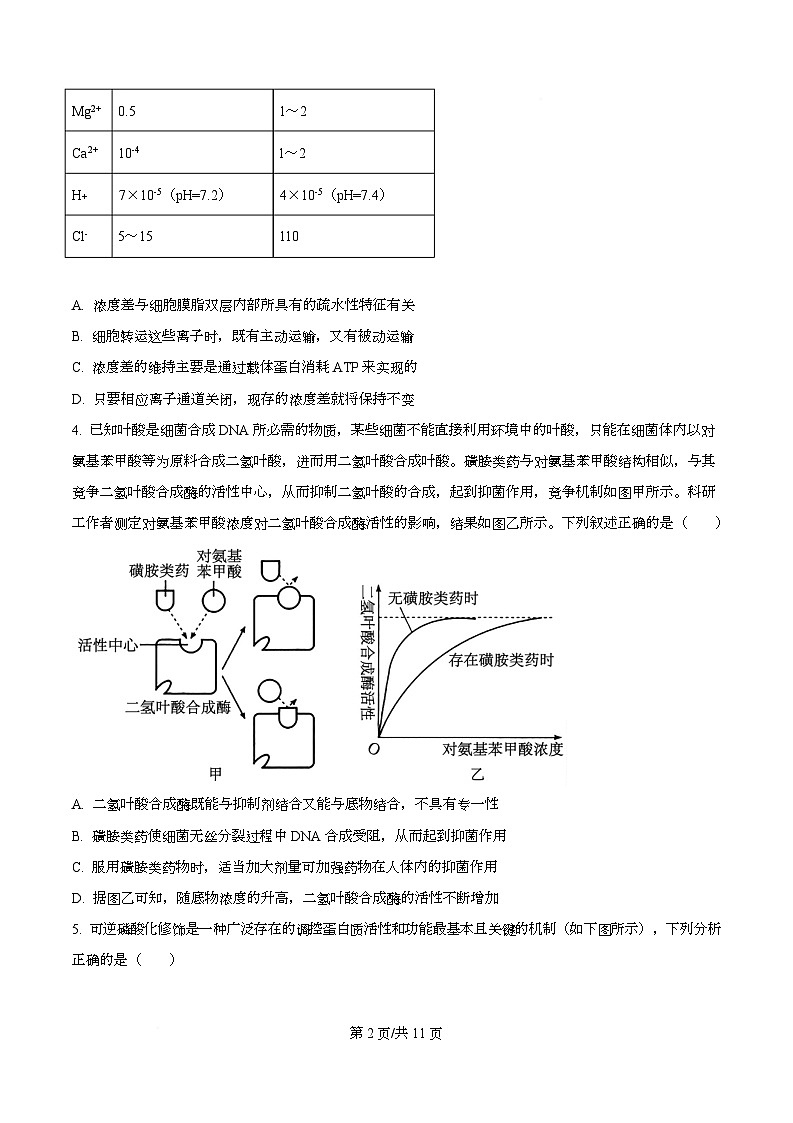 2026届四川省绵阳市高三第一次诊断性考试生物试题（原卷版）第2页