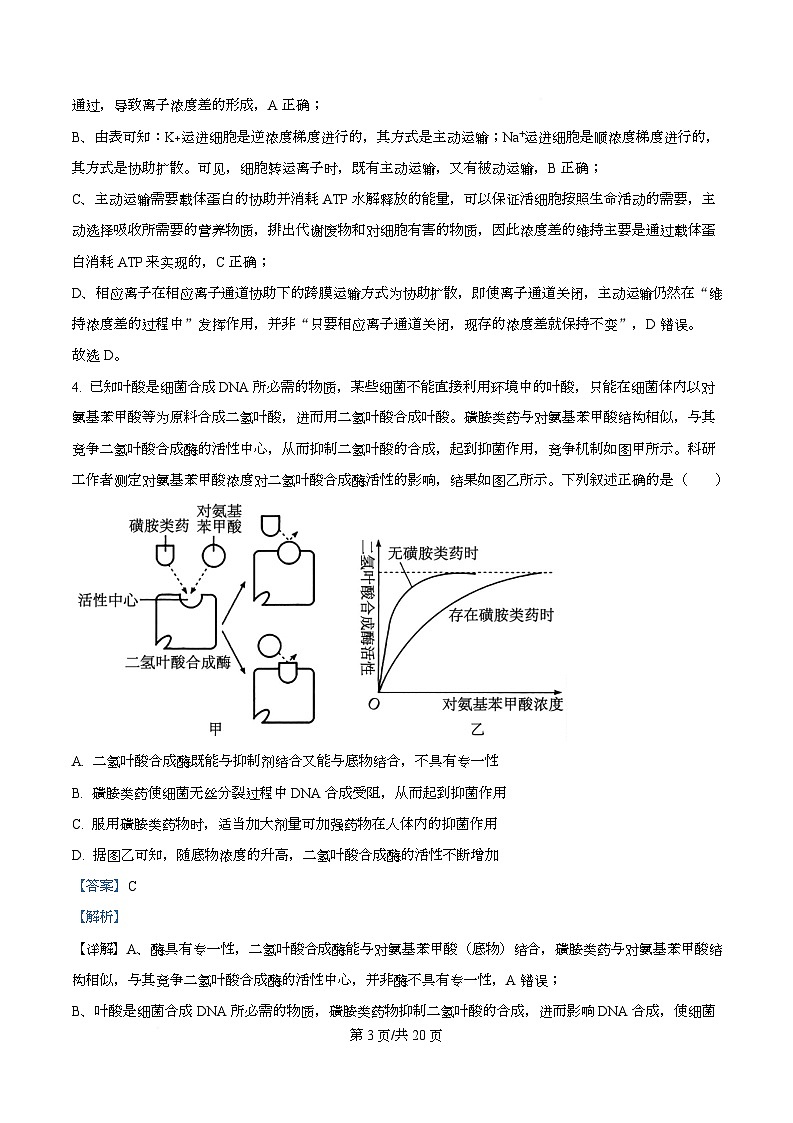 2026届四川省绵阳市高三第一次诊断性考试生物试题 Word版含解析第3页
