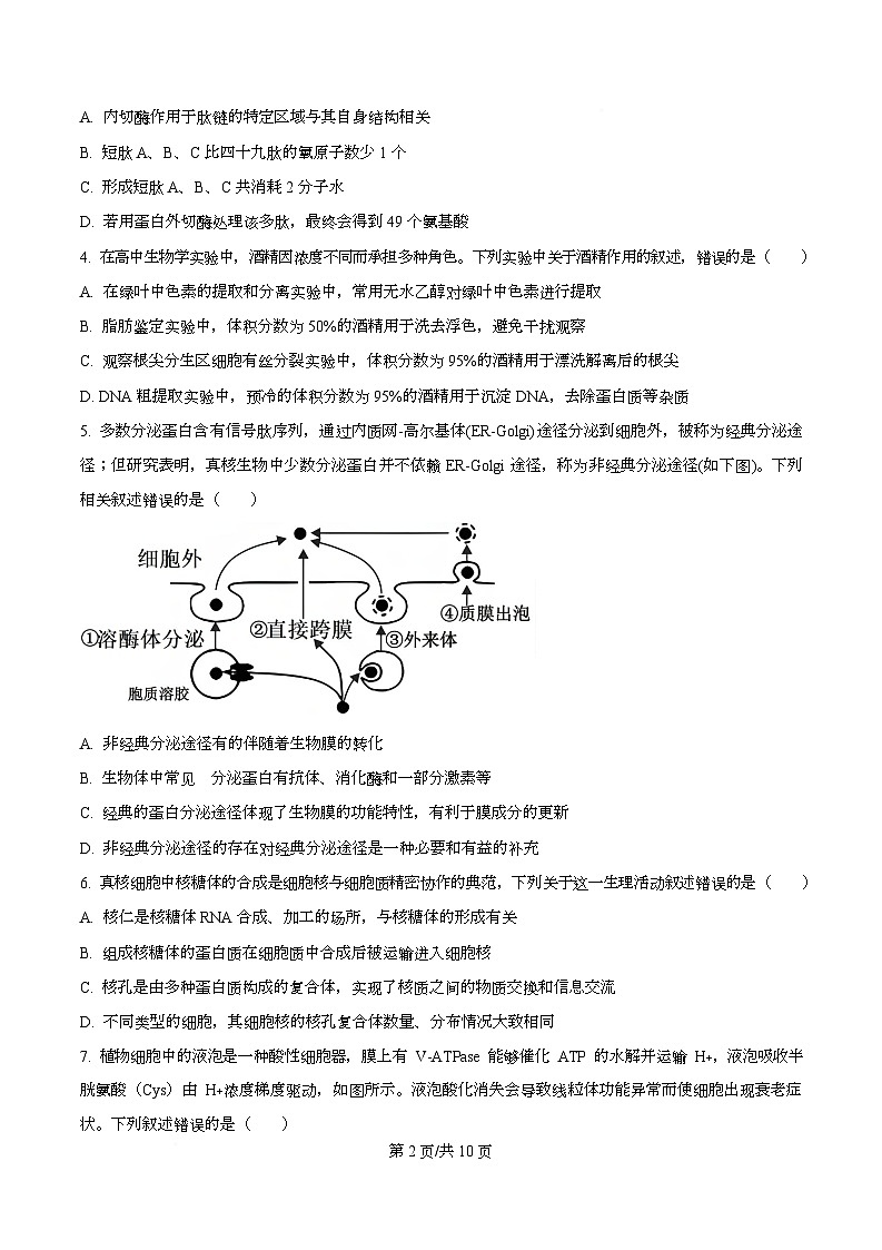 四川省绵阳市涪城区四川省绵阳南山中学2026届高三上学期10月月考生物试题（原卷版）第2页