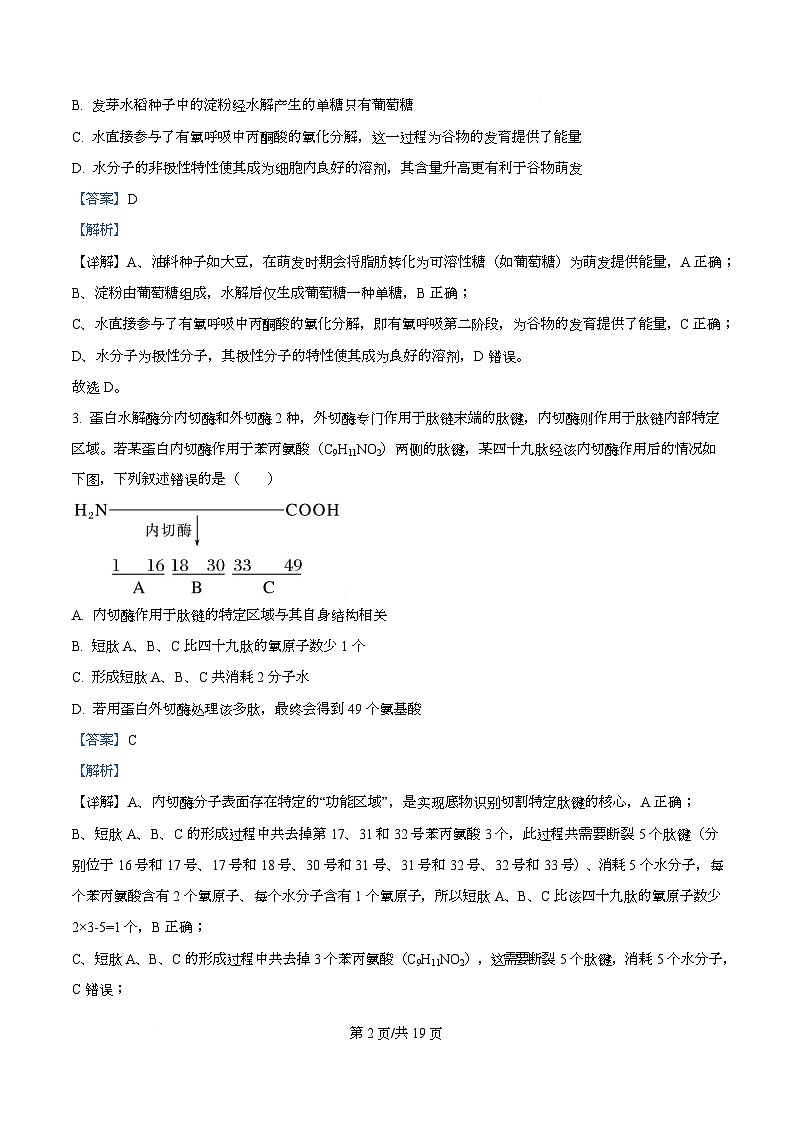 四川省绵阳市涪城区四川省绵阳南山中学2026届高三上学期10月月考生物试题 Word版含解析第2页