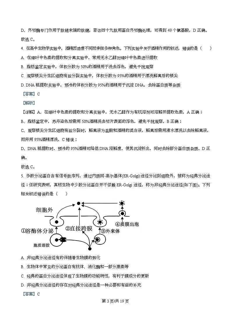 四川省绵阳市涪城区四川省绵阳南山中学2026届高三上学期10月月考生物试题 Word版含解析第3页