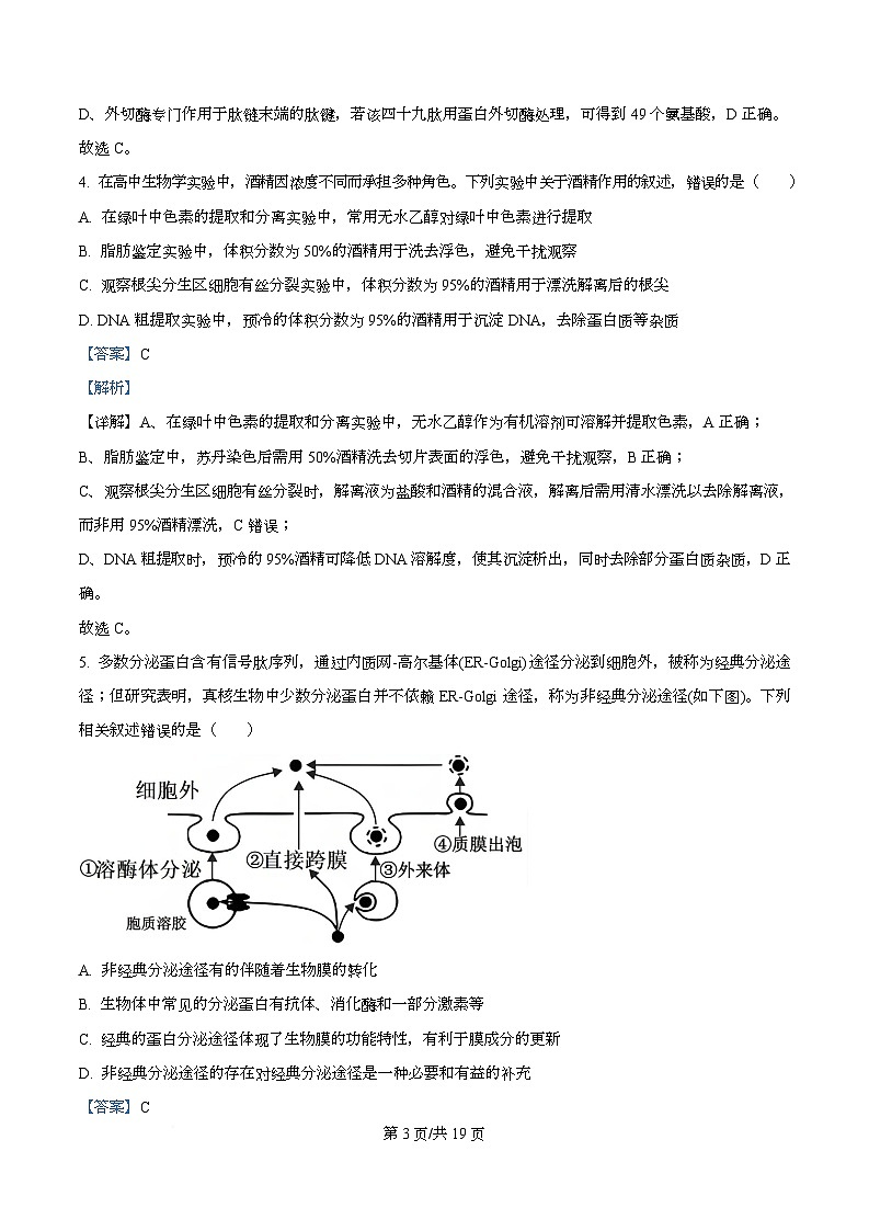 四川省绵阳市涪城区四川省绵阳南山中学2026届高三上学期10月月考生物试题 Word版含解析第3页