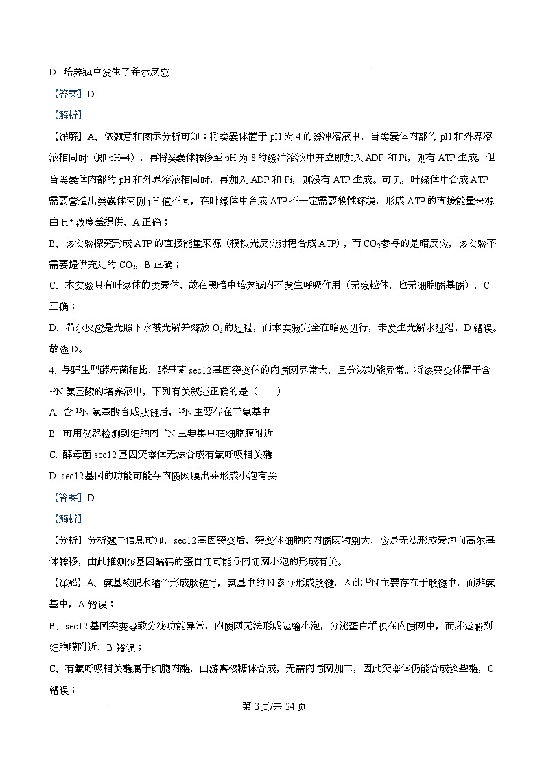 四川省绵阳市三台中学2026届高三上学期10月月考生物试题 Word版含解析第3页