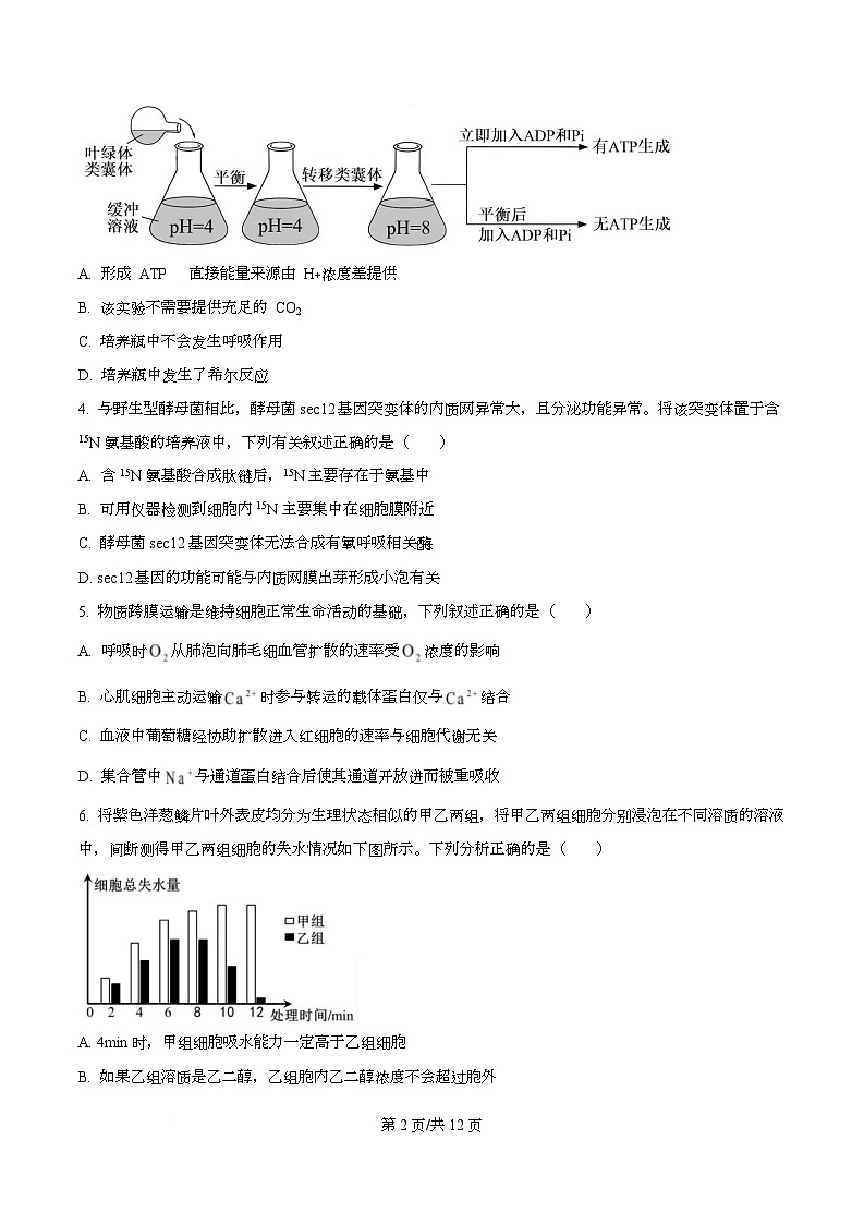 四川省绵阳市三台中学2026届高三上学期10月月考生物试题（原卷版）第2页