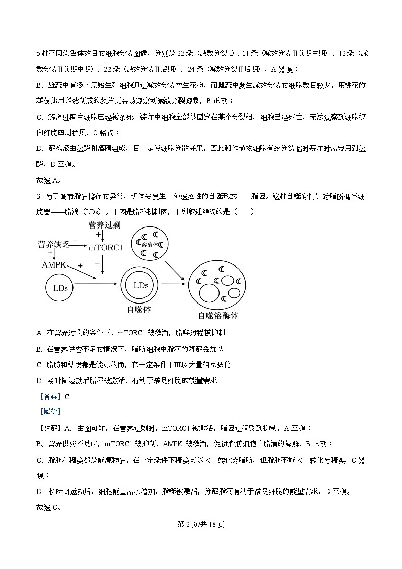 四川省内江市威远中学2026届高三上学期期中考试生物试题 Word版含解析第2页