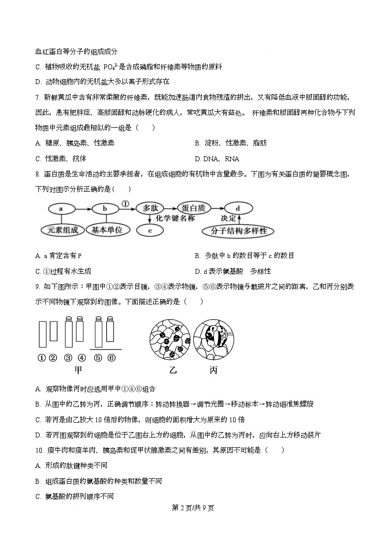 四川省内江市资中县第二中学2025-2026学年高一上学期10月月考生物试题（原卷版）第2页