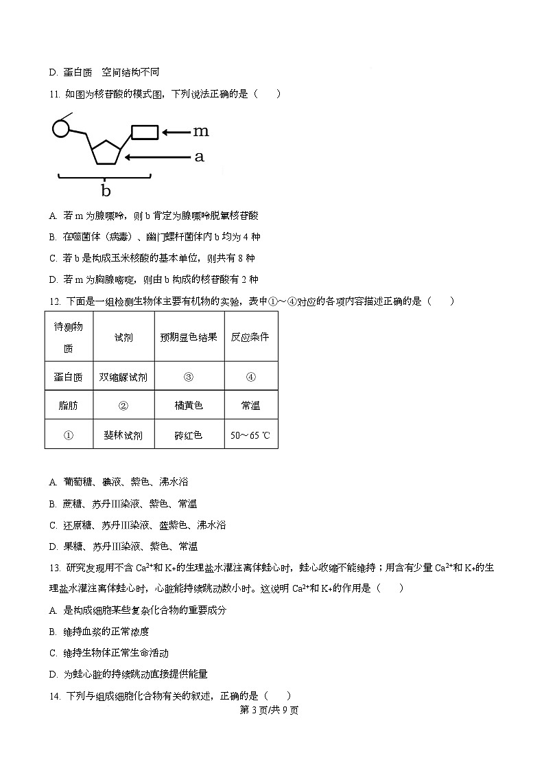 四川省内江市资中县第二中学2025-2026学年高一上学期10月月考生物试题（原卷版）第3页