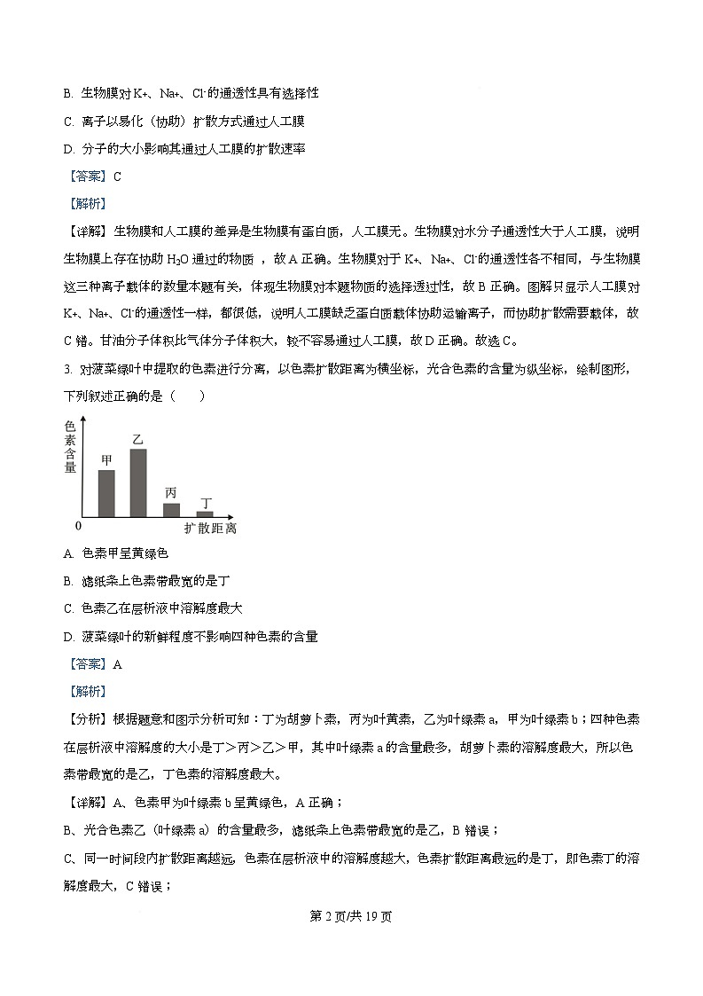 四川省彭州中学2026届高三上学期11月月考生物试题 Word版含解析第2页