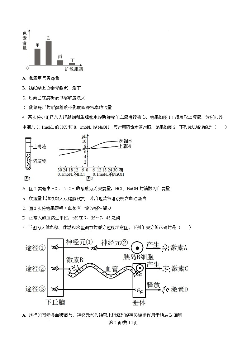 四川省彭州中学2026届高三上学期11月月考生物试题（原卷版）第2页