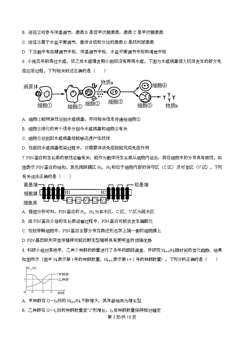 四川省彭州中学2026届高三上学期11月月考生物试题（原卷版）第3页