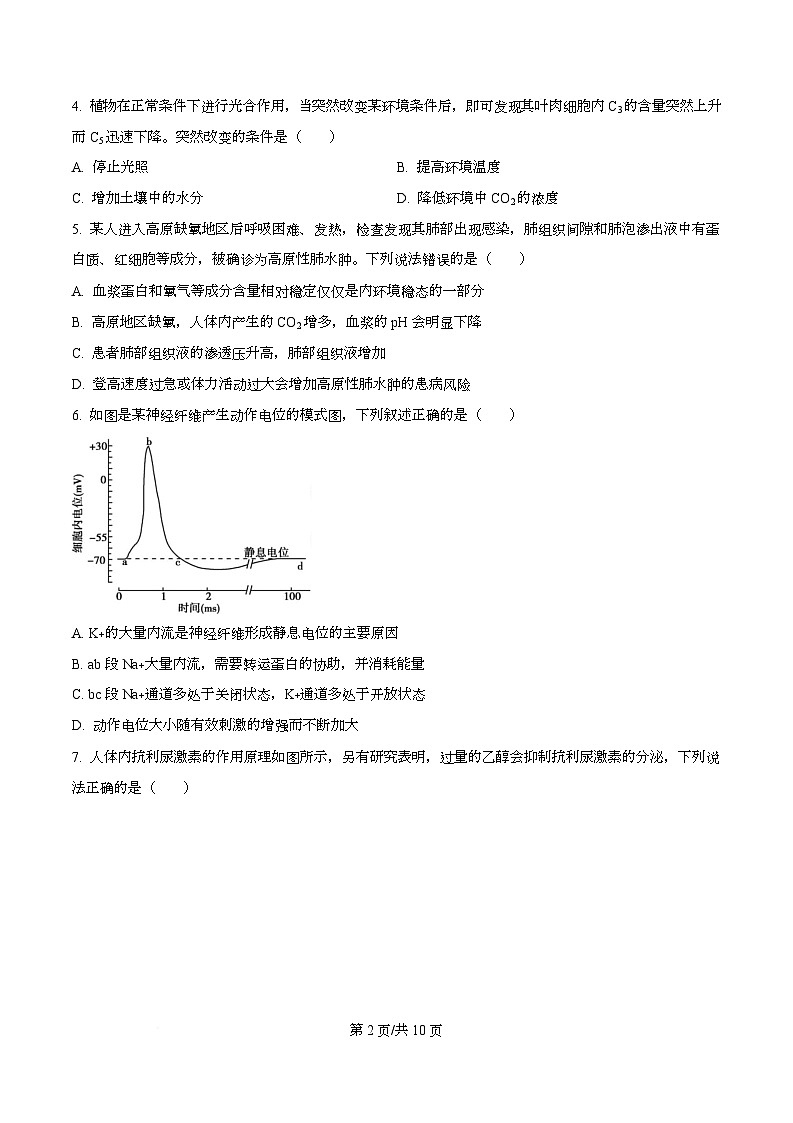 四川省双流中学2024-2025学年高三下学期高考生物模拟考试二（原卷版）第2页