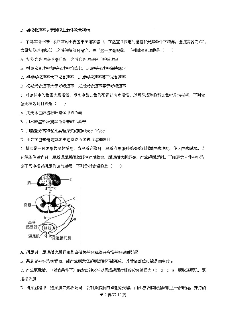 四川省彭州中学2024-2025学年高三下学期模拟考试一生物试题（原卷版）第2页