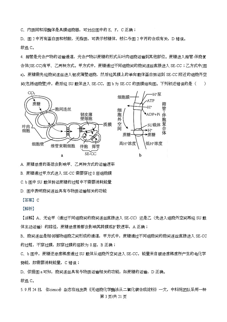 重庆市名校联盟2025-2026学年高三上学期10月第一次联考生物试题 Word版含解析第3页
