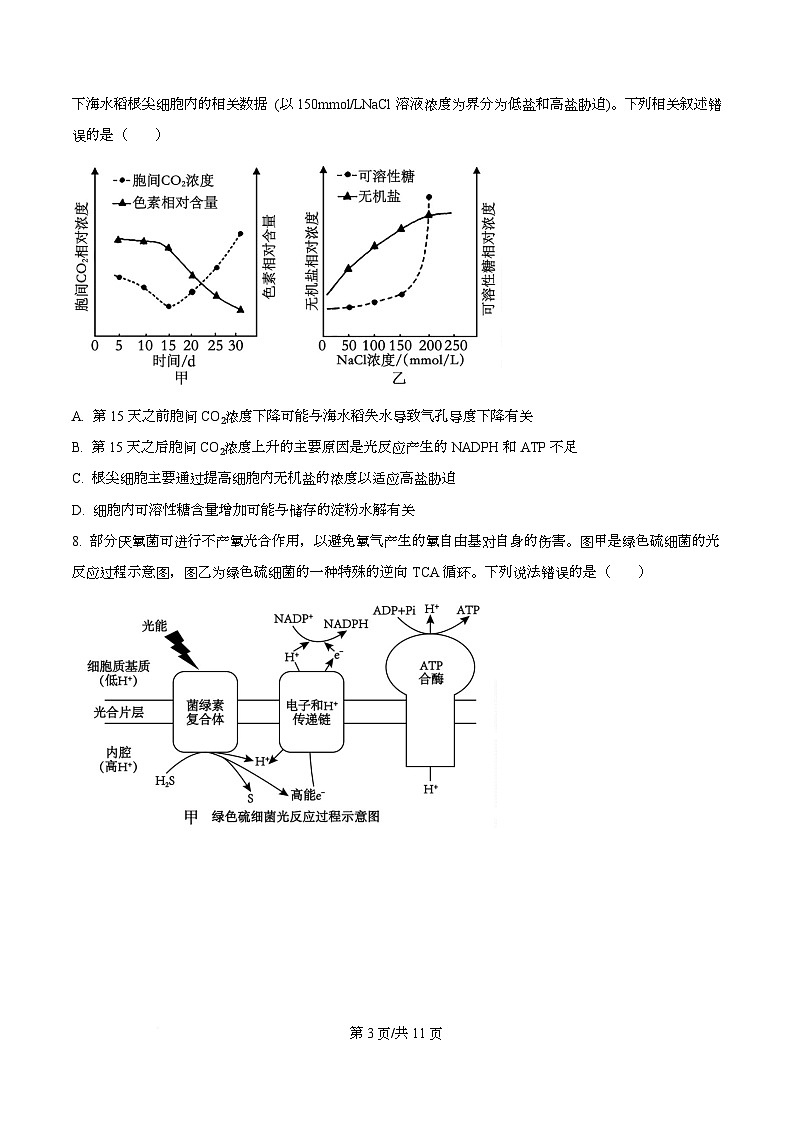 重庆市渝中区重庆市巴蜀中学校2025-2026学年高三上学期10月月考生物试题 Word版无答案第3页