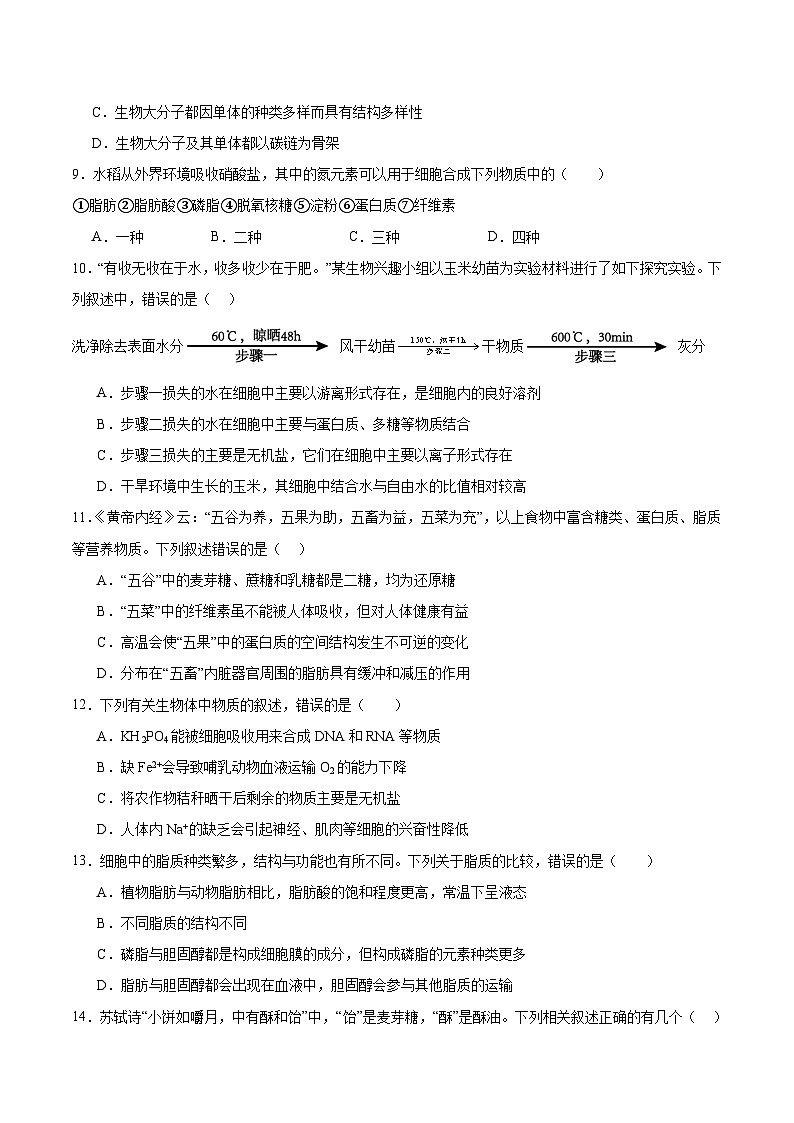 辽宁省实验中学2025-2026学年高一上学期10月月考试题 生物 Word版含答案第3页