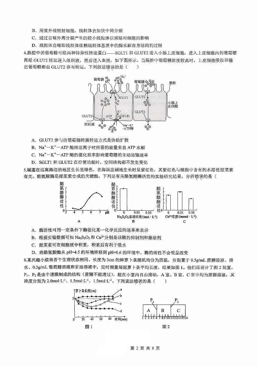 重庆育才中学、鲁能巴蜀中学、万州高级中学高2026届高三10月联合考试生物试卷（无答案）第2页