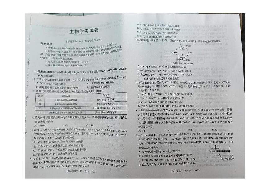 辽宁省县域重点高中2025-2026学年高三上学期期中考试生物试卷第1页