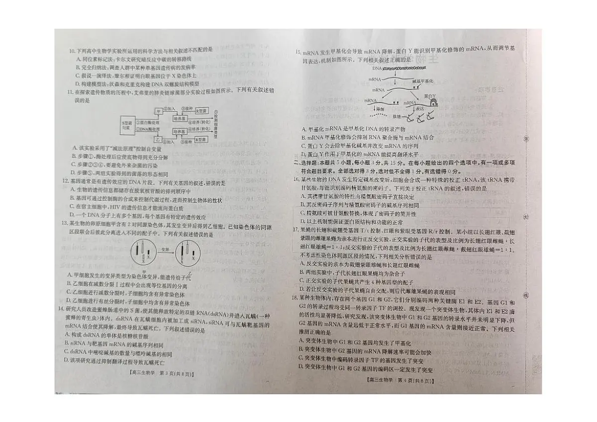 辽宁省县域重点高中2025-2026学年高三上学期期中考试生物试卷第2页