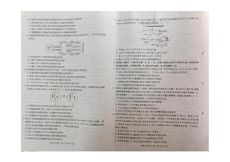辽宁省县域重点高中2025-2026学年高三上学期期中考试生物试卷第2页