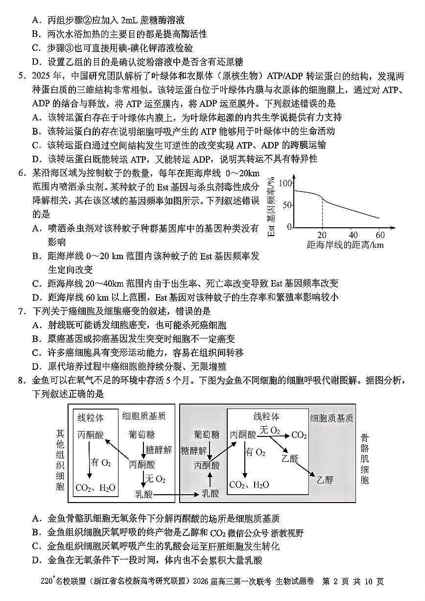 Z20+名校联盟（浙江省名校新高考研究联盟）2026届高三第一次联考生物试卷+答案第2页