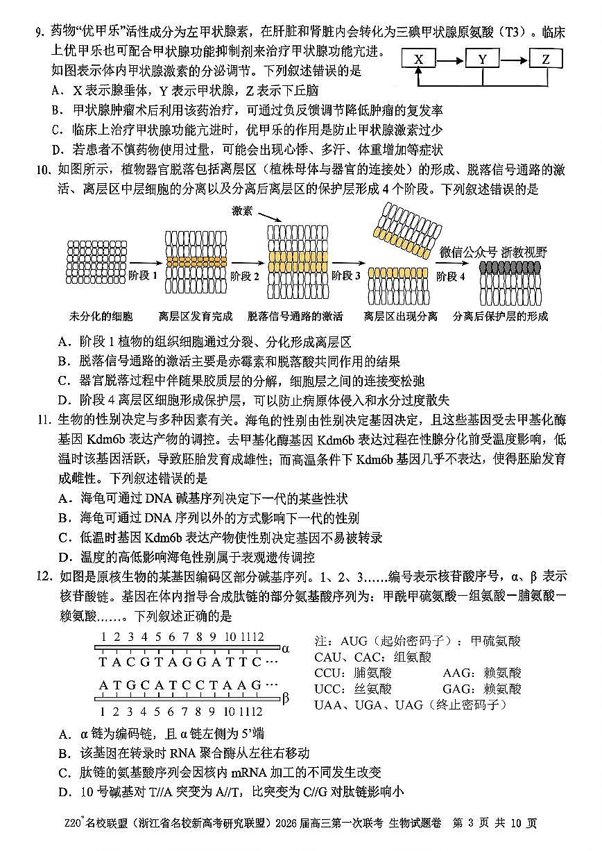 Z20+名校联盟（浙江省名校新高考研究联盟）2026届高三第一次联考生物试卷+答案第3页