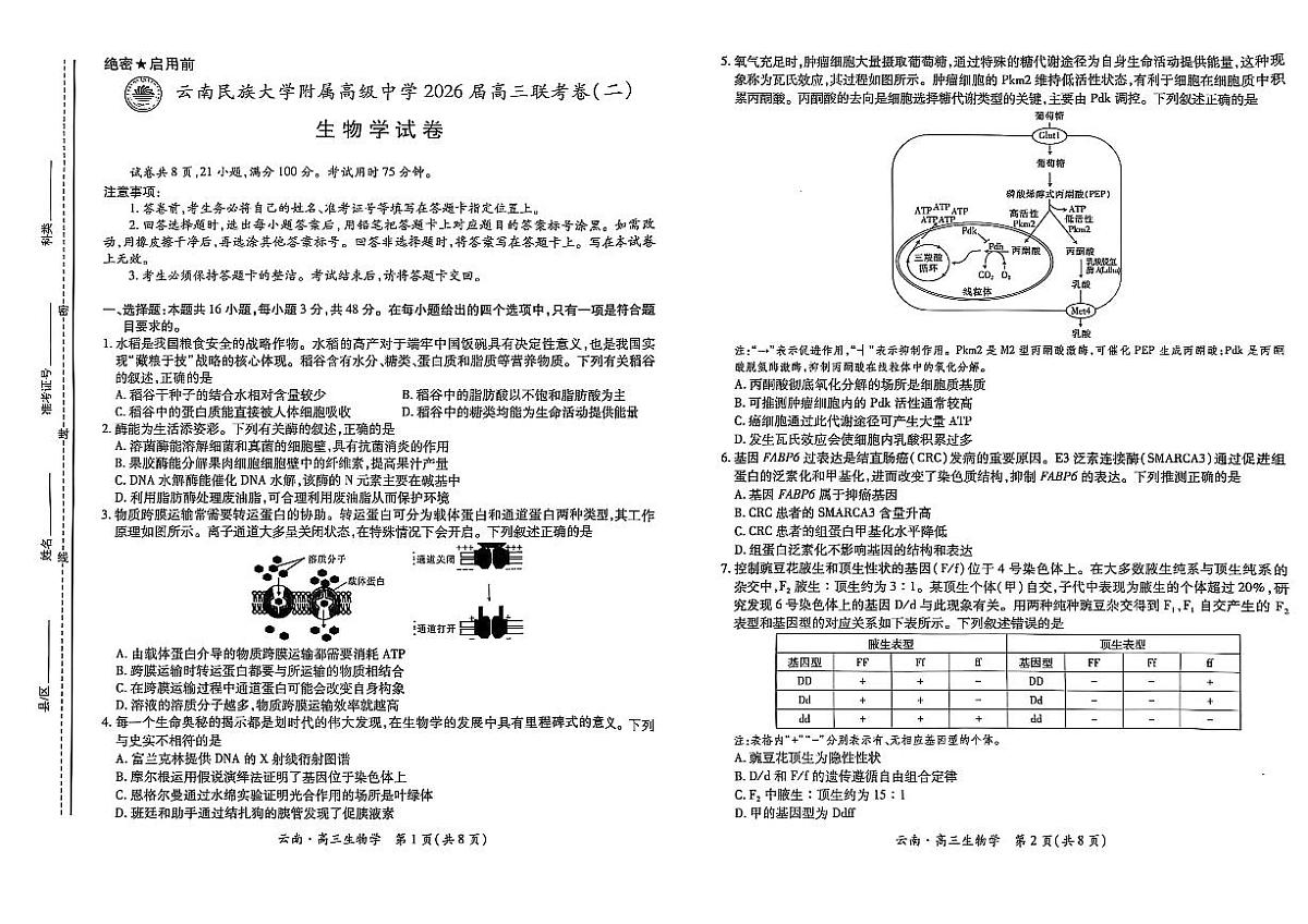 云南民族大学附属高级中学2026届高三联考卷（二）生物试卷（无答案）第1页