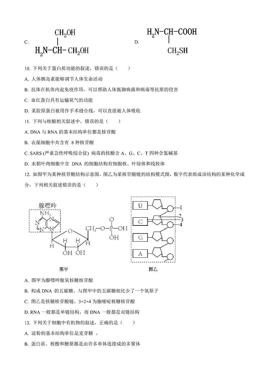 重庆市第八中学2024-2025学年高一上学期期中考试生物试卷含解析第3页