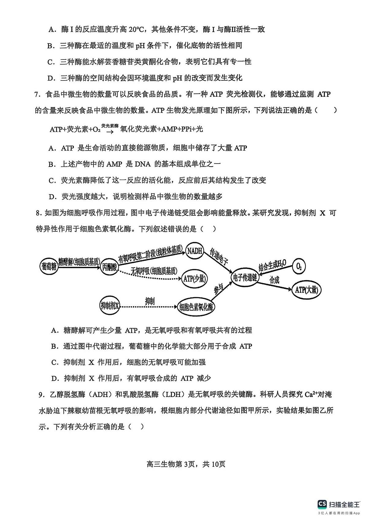 河南省濮阳外国语学校2025-2026学年高三上学期10月月考生物试卷（PDF版附解析）第3页
